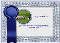 Lake District Sheepdog Experience Certificate