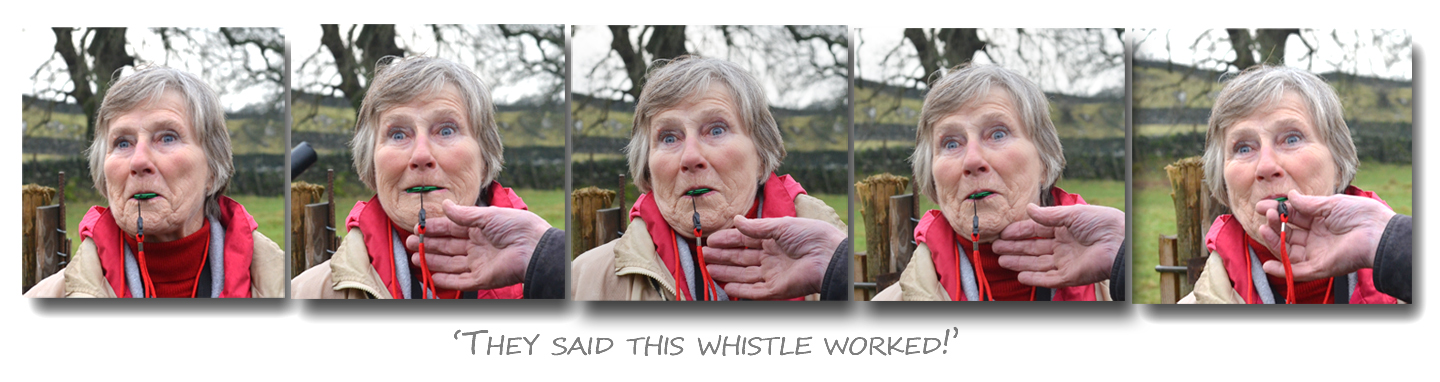 whistle